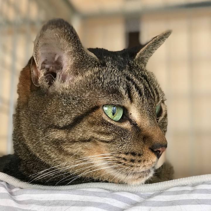 B8a7a3ee f2b6 4daa ac95 b290a6215f93 1539135472136