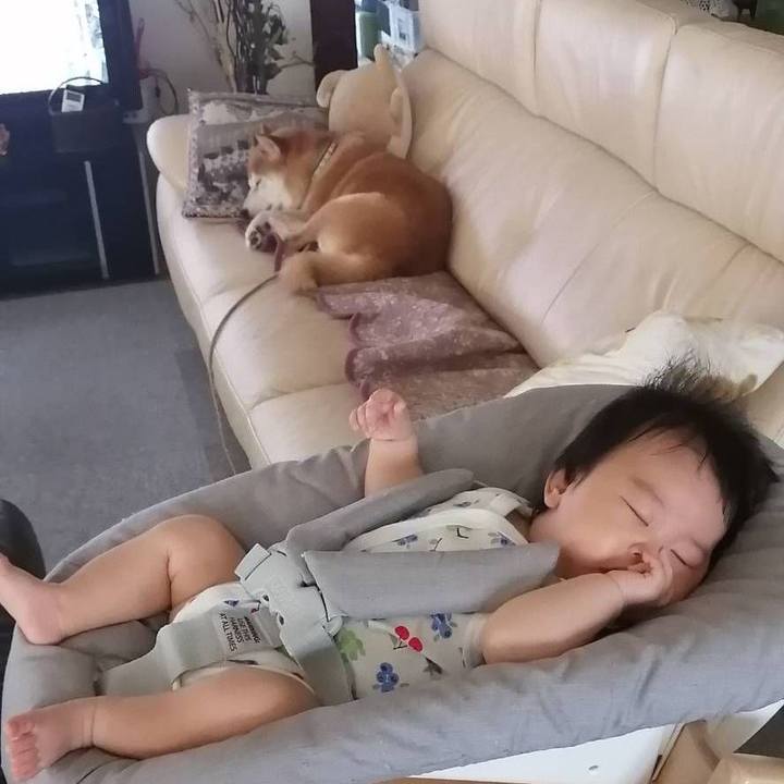 B8a7e0cc 5ebf 4628 951b 2cdacd961888 1598417013726