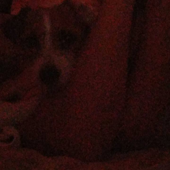 B8a8006a dafa 48c8 91e0 f2cd0072a5a9 1537650517374