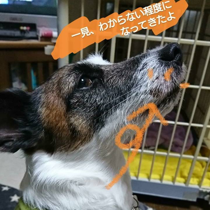 B8a8179a da48 4a33 abe7 4a7e8ae07fc0 1580994609693