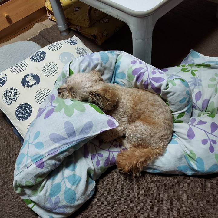 B8a81d68 4560 4ca3 943f 02e95eda865a 1657748569808