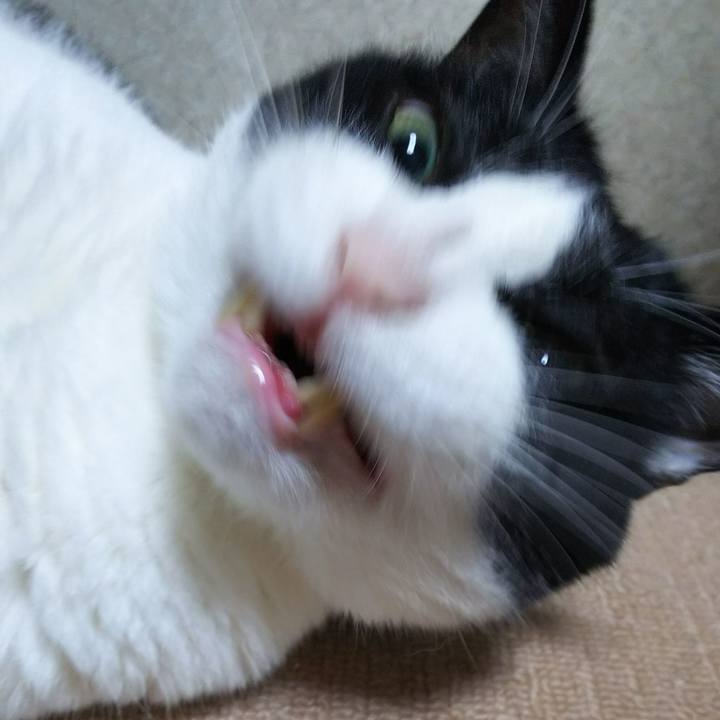 B8a87fef 637b 4734 8f00 89fb0f1c47c4 1537870925949