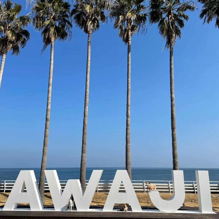 B8a8e7e6 a976 4bfa b474 14daebee5a02 1646397368386