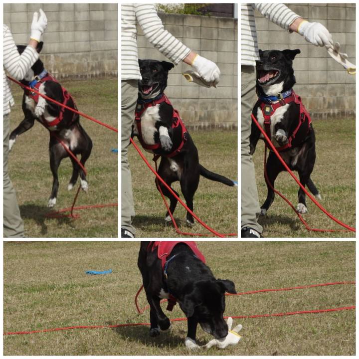 B8a8efbb e567 47a6 b564 f0b56bb54757 1681175940551