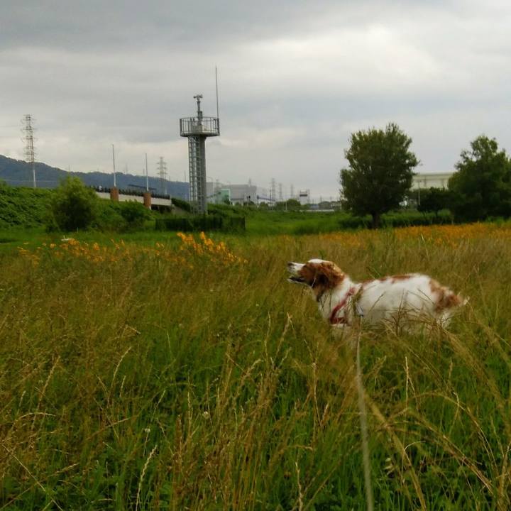 B8a8f70c 80d3 4145 9c8c 5b4d99a3c9ec 1562802555613