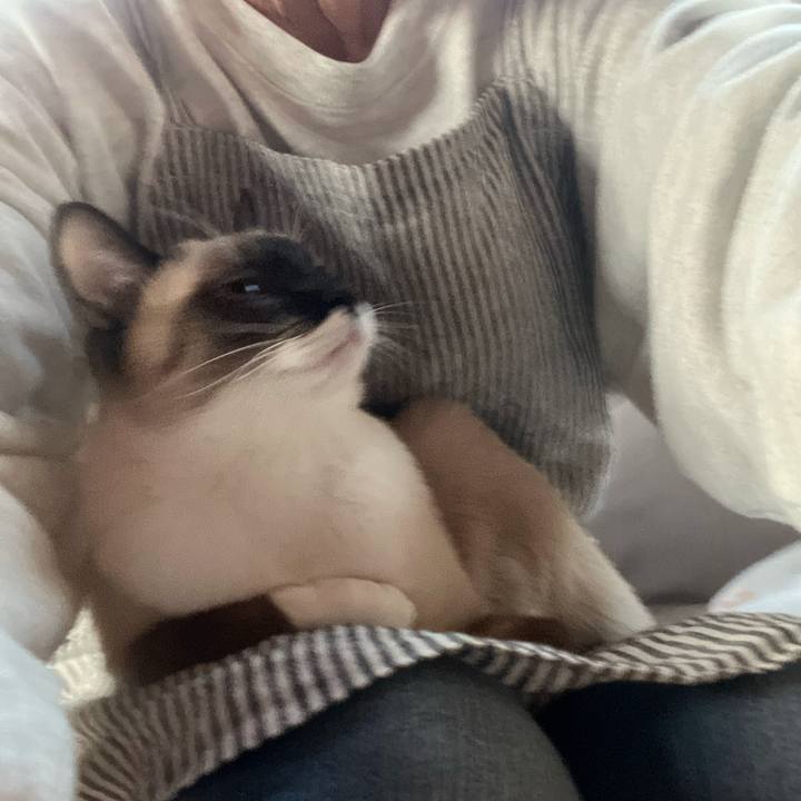 B8a90bd0 04e6 43dd b39d dd30a00cd148 1731534290400