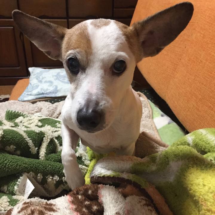 B8a943eb f0ba 4625 8423 58848a1ae389 1520087965202