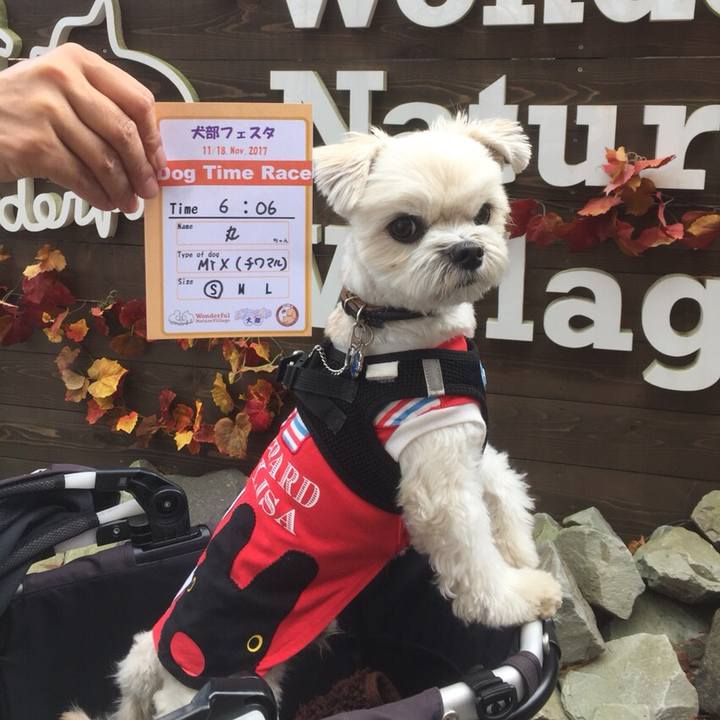 B8a955a9 a253 442f 91ce 37621b4076fe 1560428601541