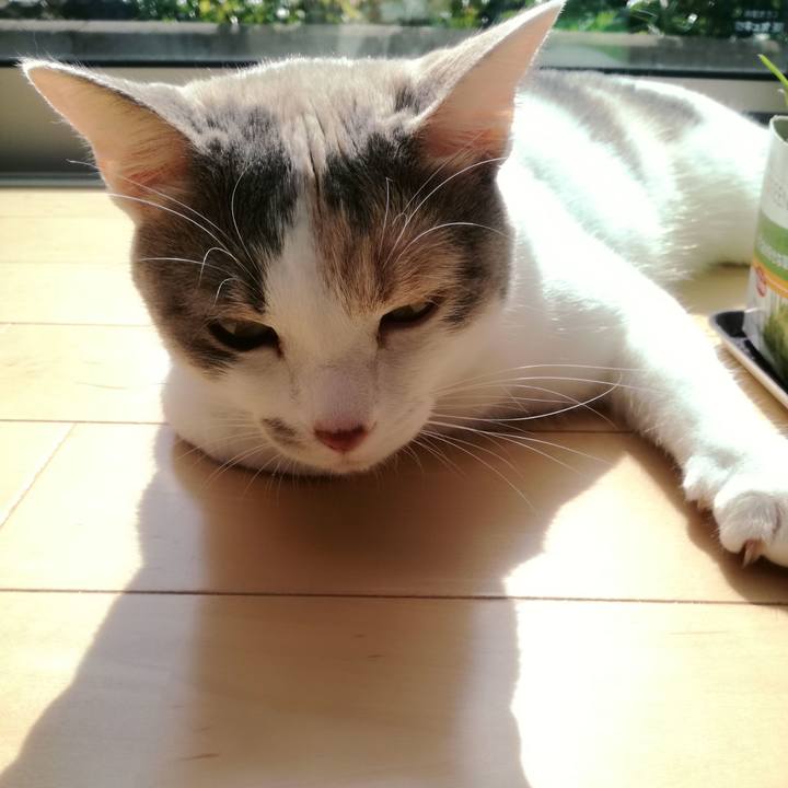 B8a963a6 0824 48a6 96a5 6c96b8583dd7 1529278849089