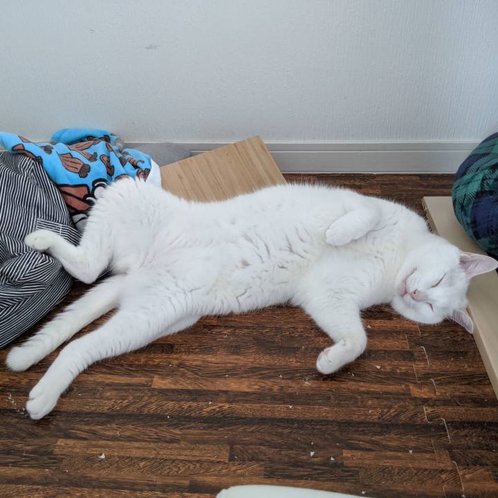 B8a99807 4871 4ba9 abad 73f6f187776d 1560982588180