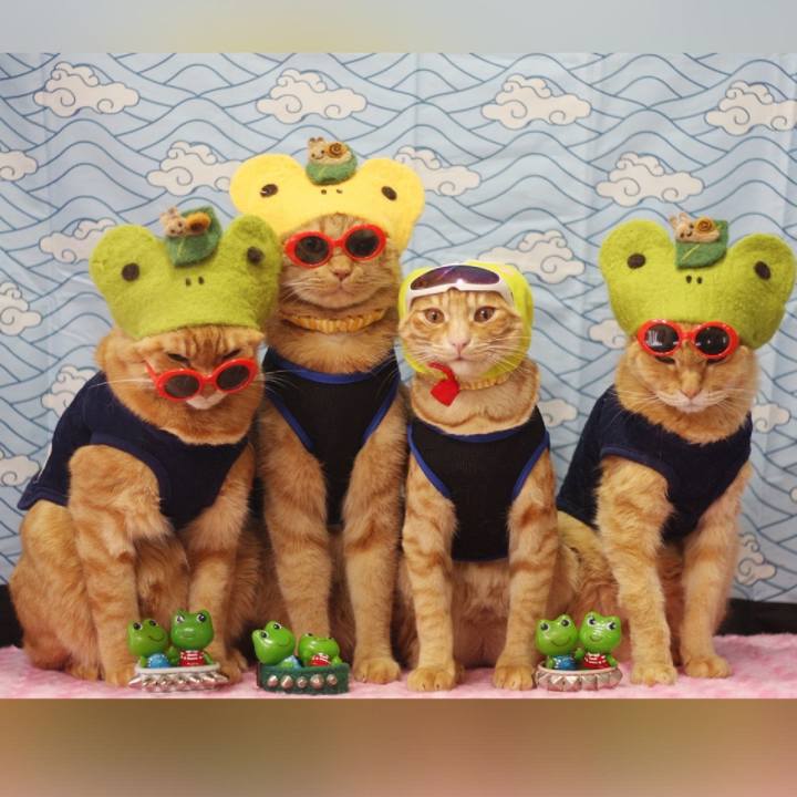 B8a9a998 f91d 4009 b15c f688f3a9213c 1686317059857