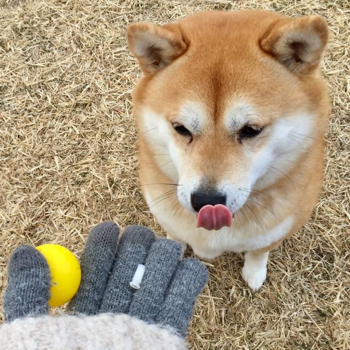 B8a9b38d 2ab6 4ab2 93ae 50fa7cd2cc69 1517718274592