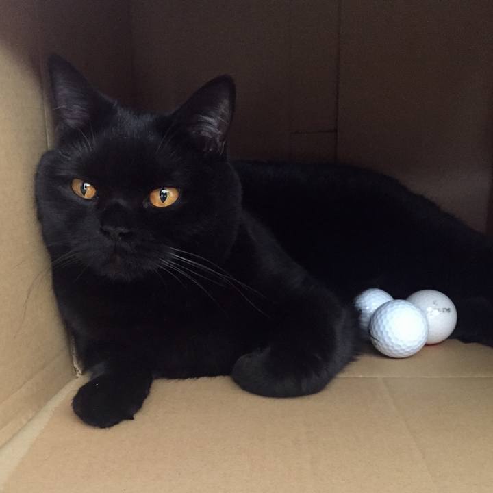 B8aa7dcc 4018 4b7e 8c8e b130005963a9 1524836189949