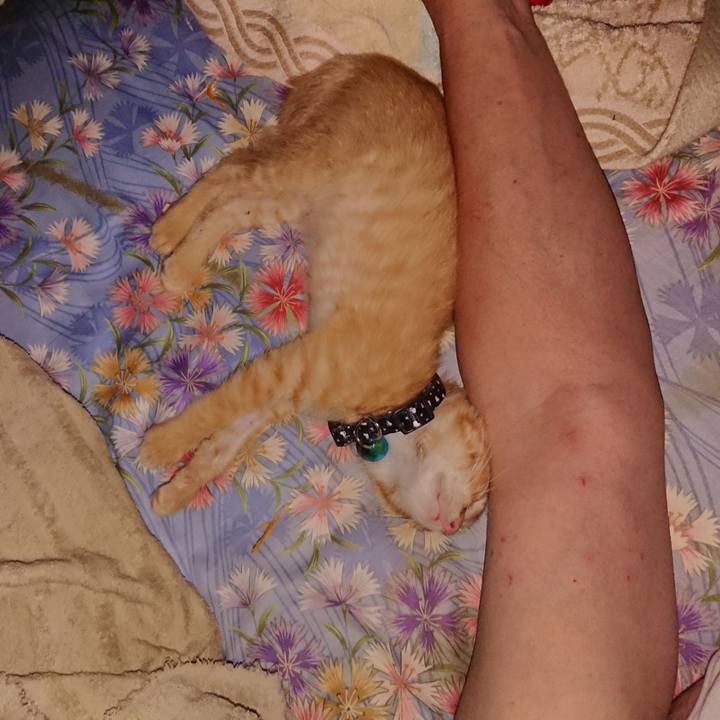 B8aadd2b 150e 4a32 a401 40a9b466ea67 1627936935351