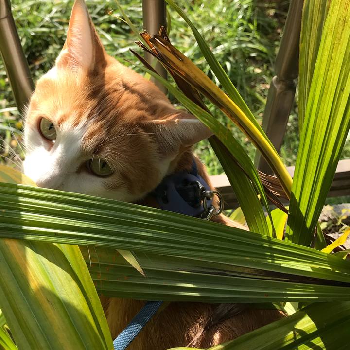 B8ab3c23 ceac 439a a080 37dab98b7cfb 1509362528407