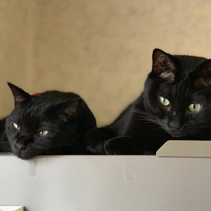 B8ab782e 6ba7 4522 8e65 7d6efa80e876 1562125777124