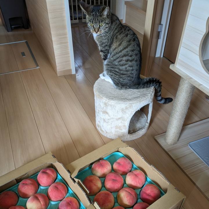 B8ab88e3 f407 4b9b b60e fb7123b53354 1690076110471