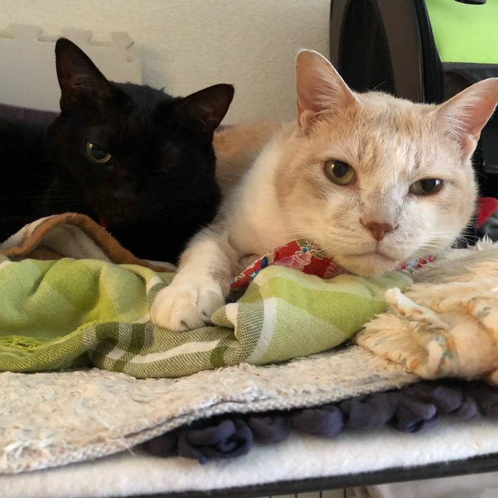 B8abb370 6d9e 4593 b4b3 777c7813ea4f 1608947495024