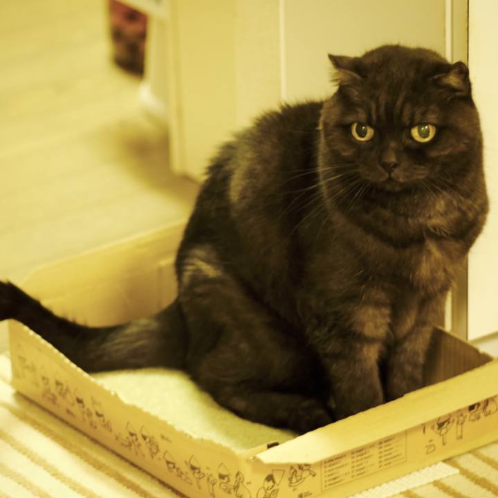 B8abb405 8c74 4471 8920 882c69b82178 1634650042885