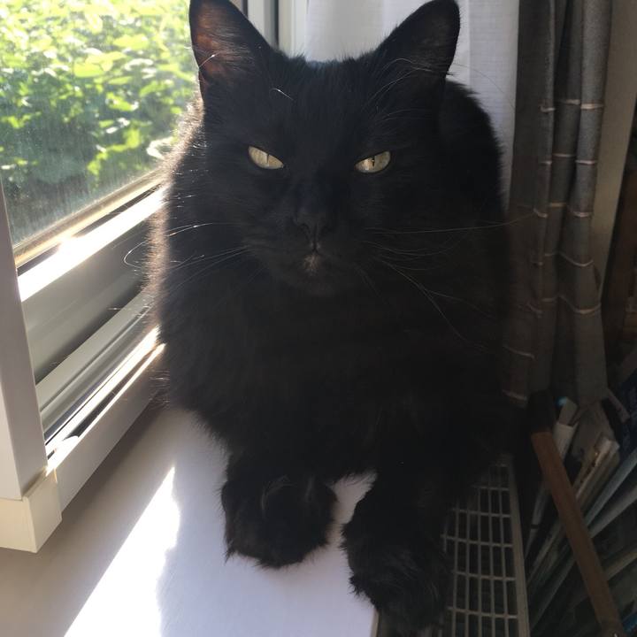 B8abb75b 6d3f 4ad9 a4a3 6588672a6c57 1527588030719