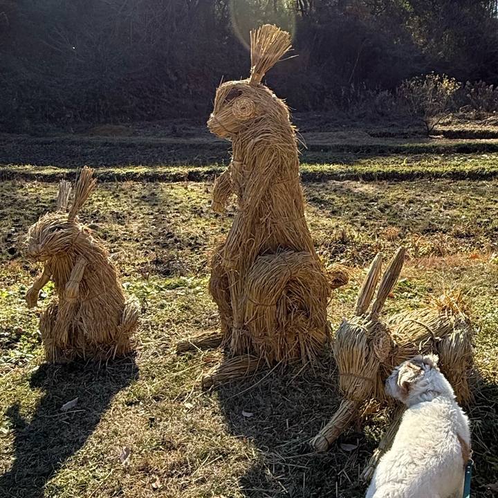 B8ac2033 62ac 4093 b474 54809a376aa7 1766042072928