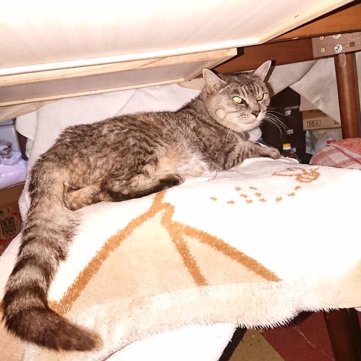 B8ac263e caeb 4f87 b2b9 9be27aa27aed 1574370047904