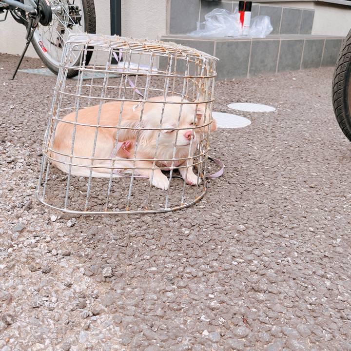 B8ac2916 e968 4e0c 9d38 df1794ae4a1c 1659762210855