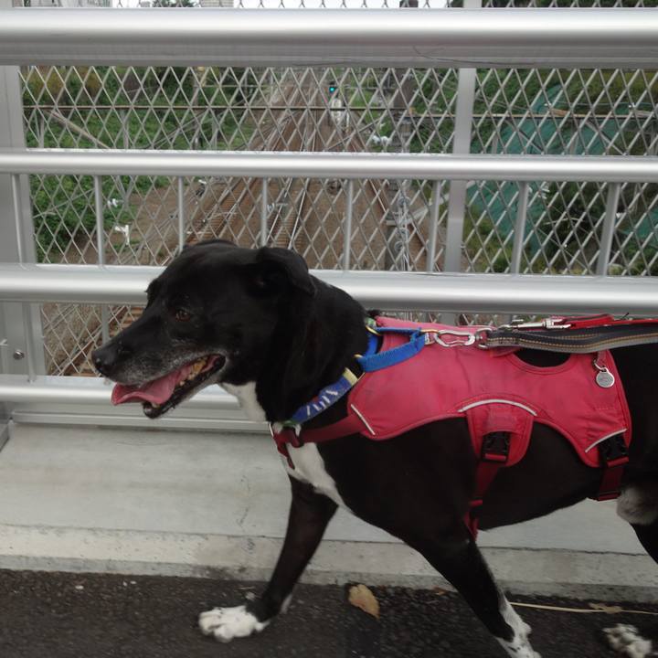 B8ac2d34 4e81 4f15 a07d 86602125b48f 1696034020411