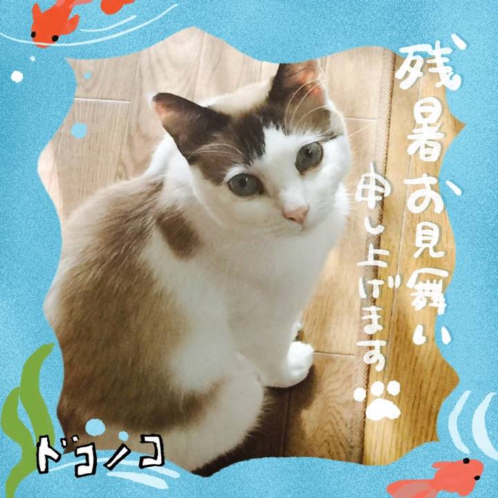 B8ac523e dfdb 4991 a6ab b090ae217128 1723699217922