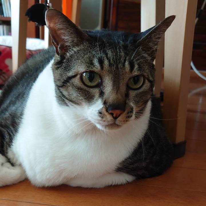 B8ac6a75 dc9d 4d88 add7 b4d680e747f6 1619217910528