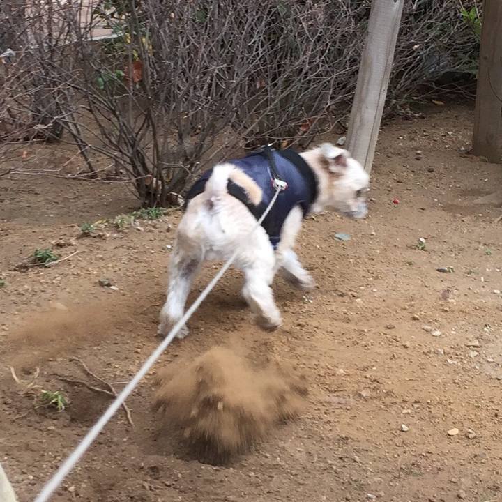 B8ac8f74 1fe0 4d10 92b8 6bcef8196994 1547289617929