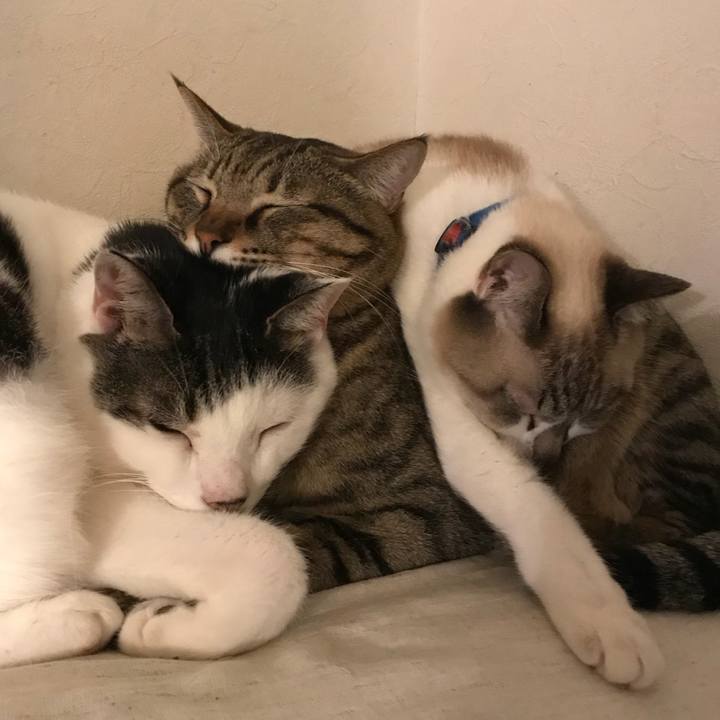 B8acb00a f817 4e9c 8bf4 51db297208ba 1513128949545