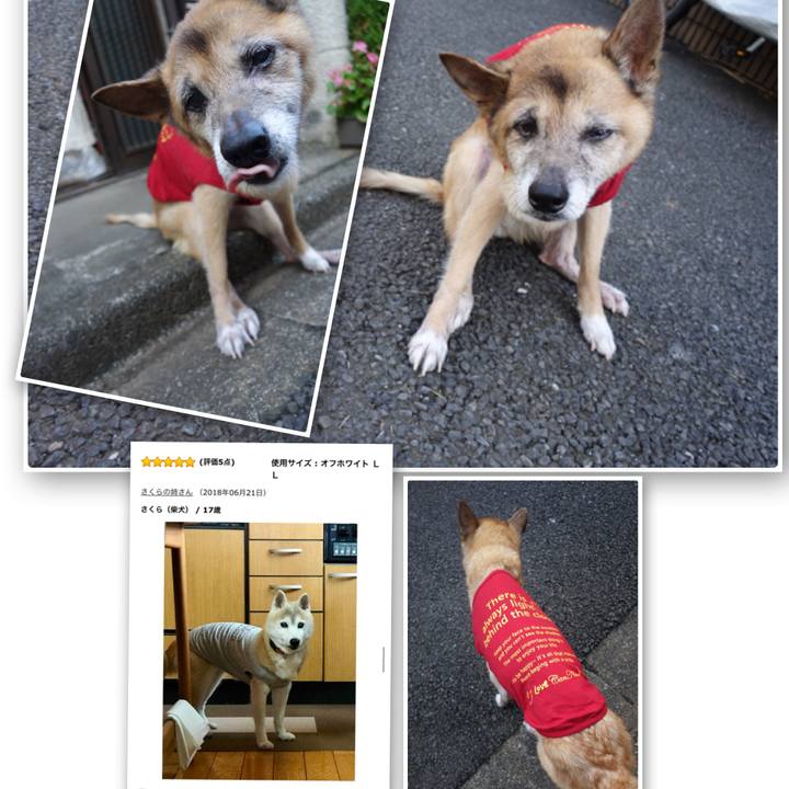 B8acc7be fdfd 475d 8167 b38da8641647 1566339682730