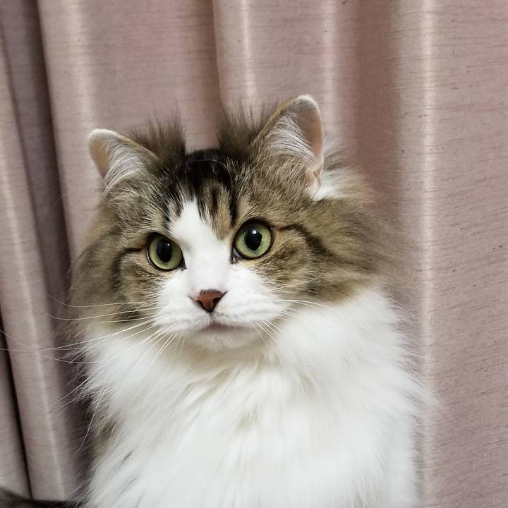 B8accae4 3a8e 43f6 80d1 2c8e5e4fd1a4 1550233326118