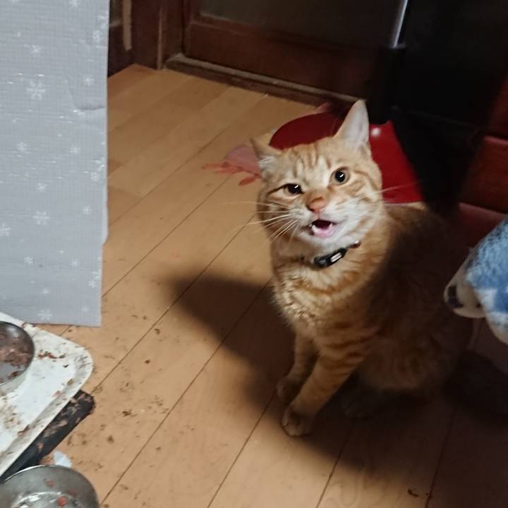 B8ace56c 428b 4227 b922 eb555d076715 1649106192153