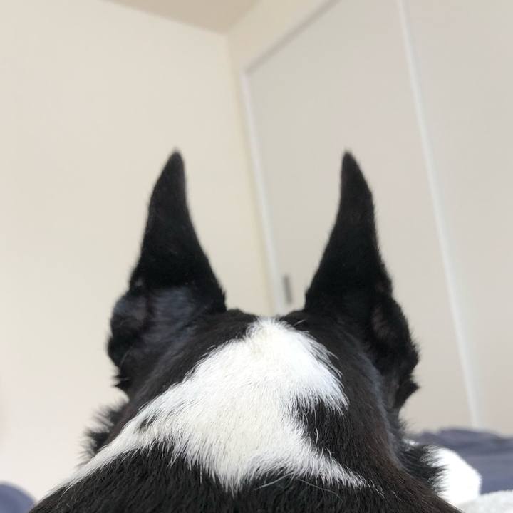 B8ad109e d1af 4db0 83dc 80deaf68d50e 1535069999545