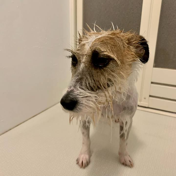 B8ad4212 a0d6 432f b92b d647643deaf7 1648379156498