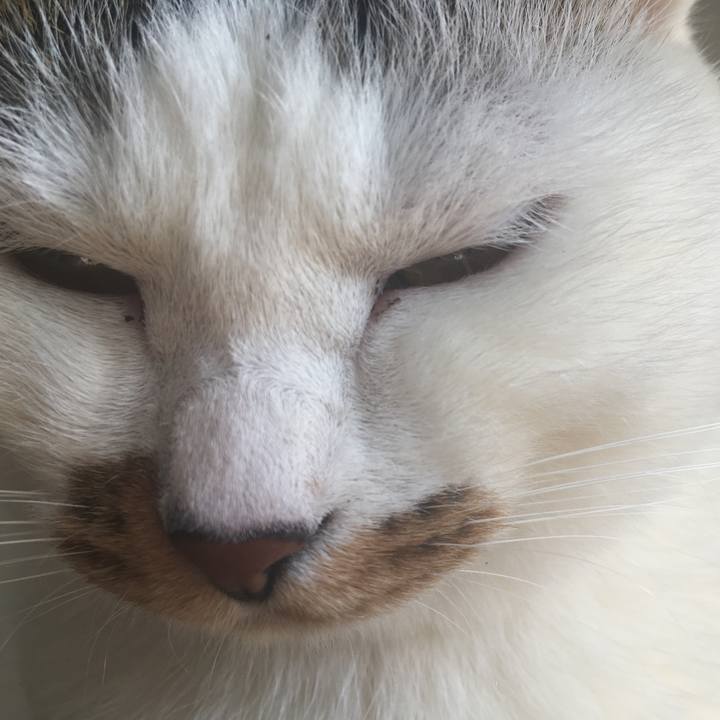 B8ad4767 2df3 4327 be81 91e38f8634db 1518064603673