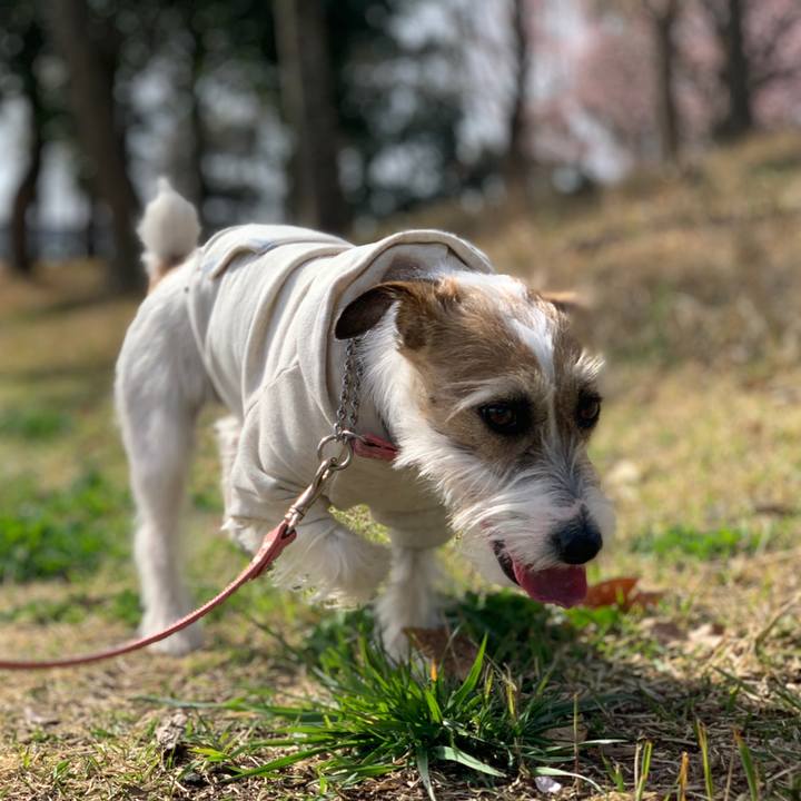 B8ad9ee7 8ade 4d52 a4b9 fd97c5e70086 1615967447123