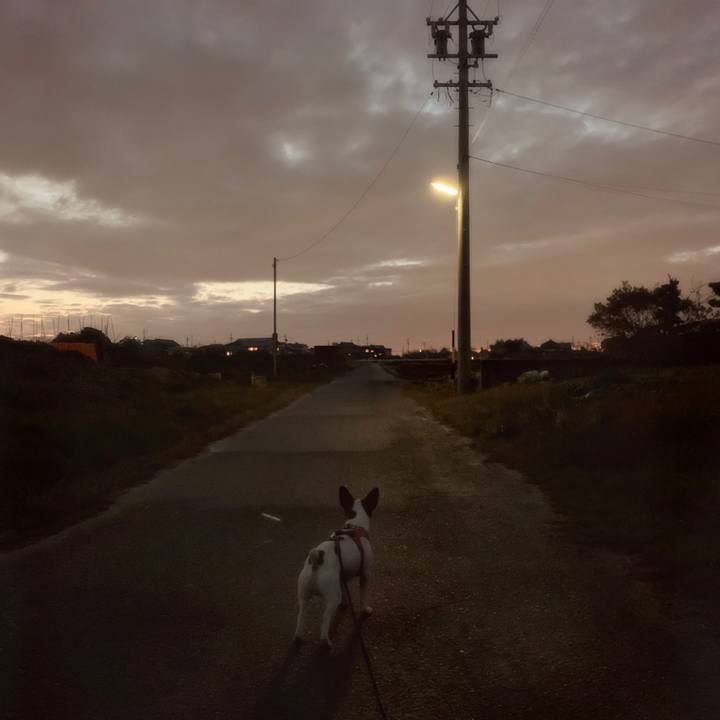 B8ada6a3 9296 418e 9aff 89799a91cba1 1581716026085