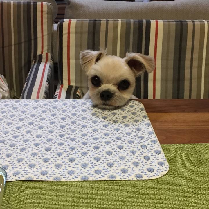 B8adb279 43ae 4182 b5b5 1c73bb7c71d7 1527852798236