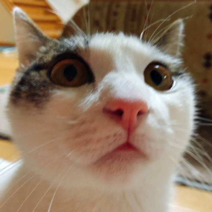 B8adbb73 3c69 4963 abdf ca240af3527a 1582158304516