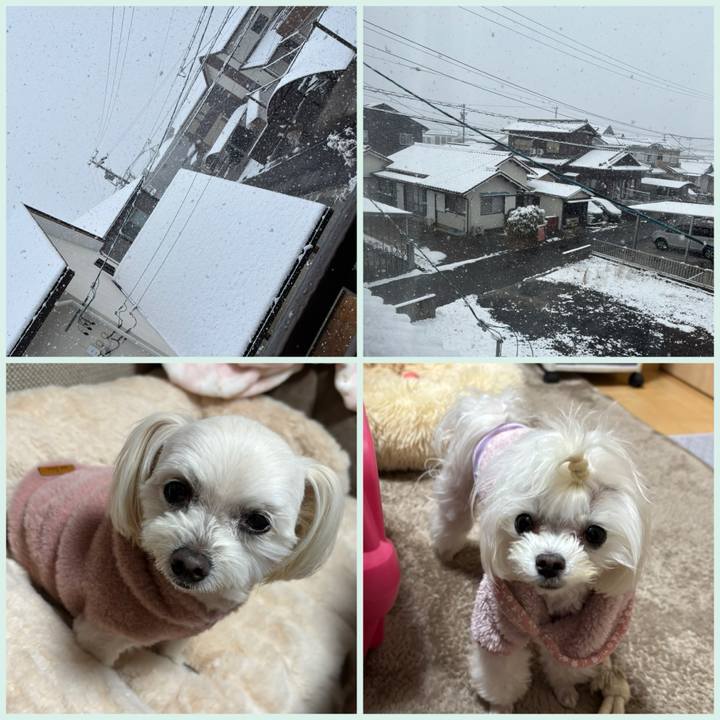 B8add590 3bb2 4ff4 9c60 ca96155da93a 1739934855166