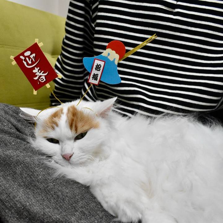 B8ae49c2 7a09 4e66 a176 81b743f9e4c0 1767320050876