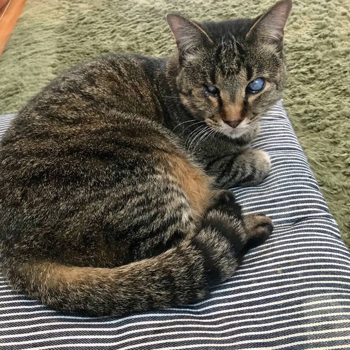 B8ae66f9 55dd 46ed 93fb 0f6ad17c6286 1622272575190