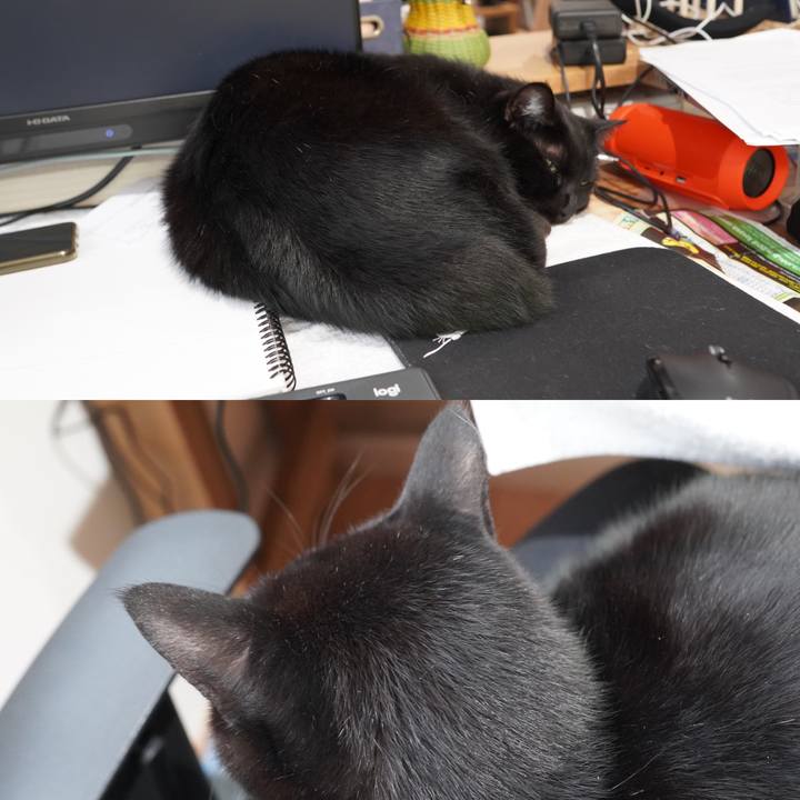 B8ae7b10 0c88 4a64 8025 5c67c9929baa 1603428310925