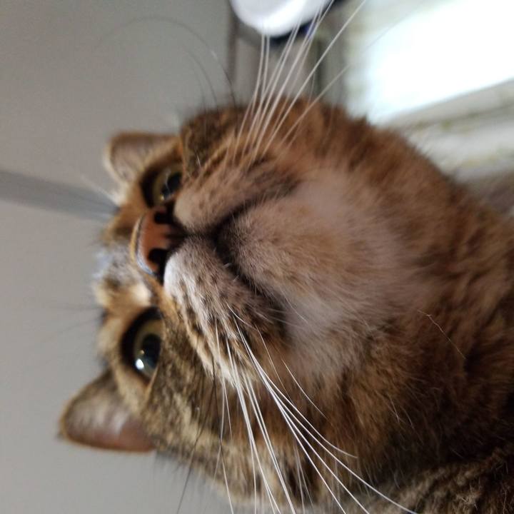 B8ae91b1 30ed 44b7 a4ad f3cd56585500 1564431828966