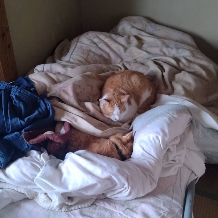 B8aea965 ce42 4c82 8536 c6a120f41742 1768011398458