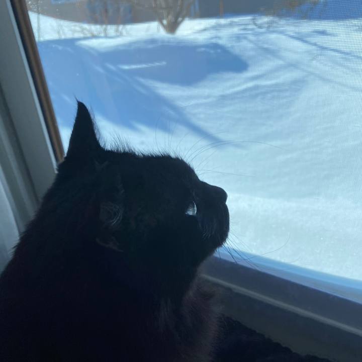 B8aeafc3 8d5f 4a51 aeb5 998b275d3aa2 1614728769600