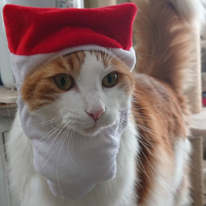 B8aec99b 8977 4c97 82ce f05585e20c36 1545634769558